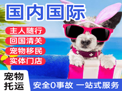 兴东机场货运国际宠物托运 【国